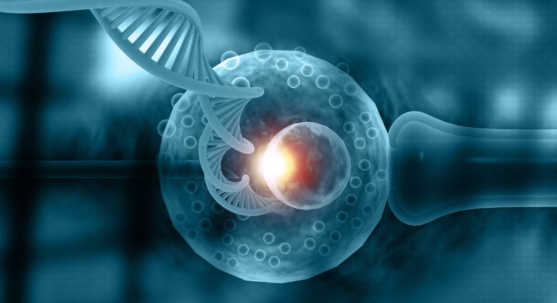 40 Years of the IVF Journey