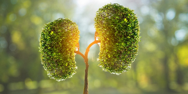 Pediatric Renal Transplant