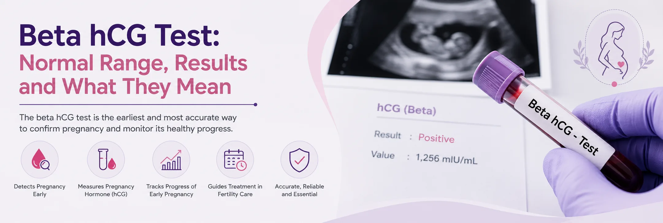 Beta hCG Test Explained: Normal Levels, Pregnancy Results and What They Mean