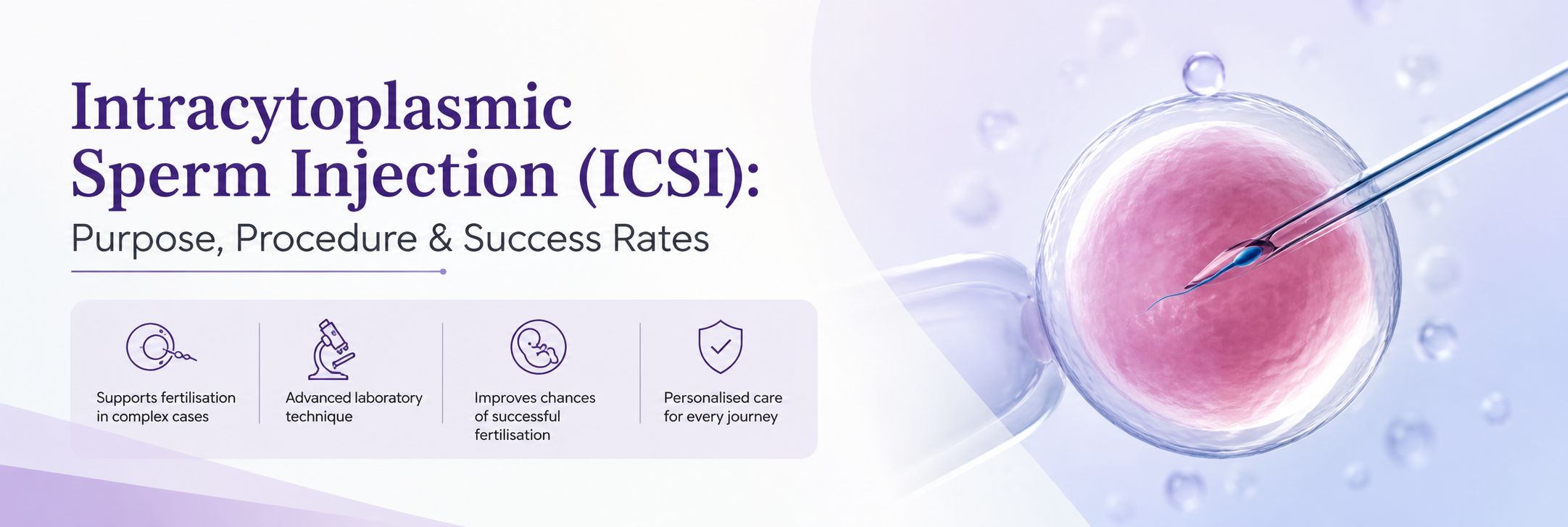 Intracytoplasmic Sperm Injection: Purpose, Procedure &amp; Success Rates