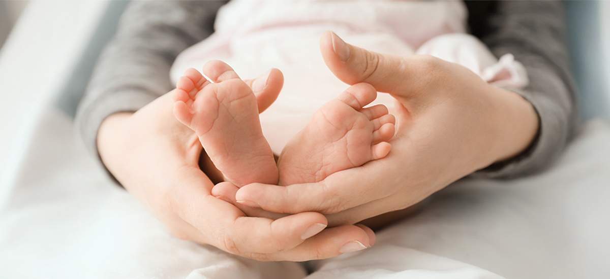 IVF with Donor Eggs: Success Rates and What to Expect