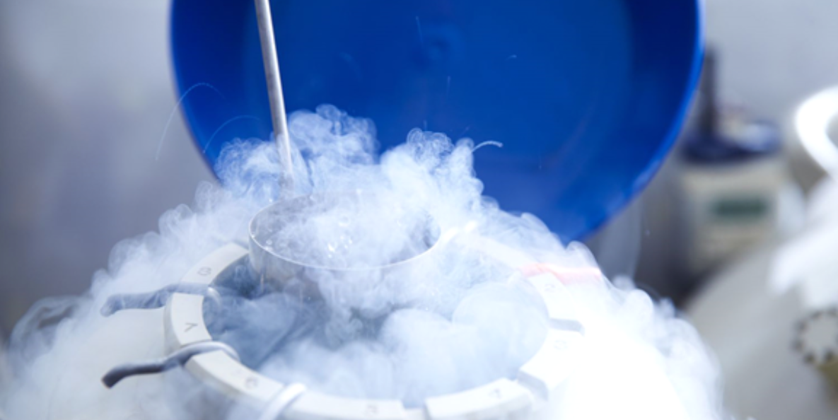 Egg Freezing
