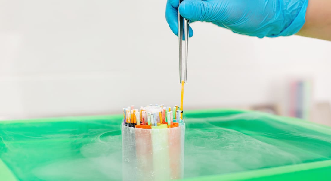 The Benefits of Embryo Freezing