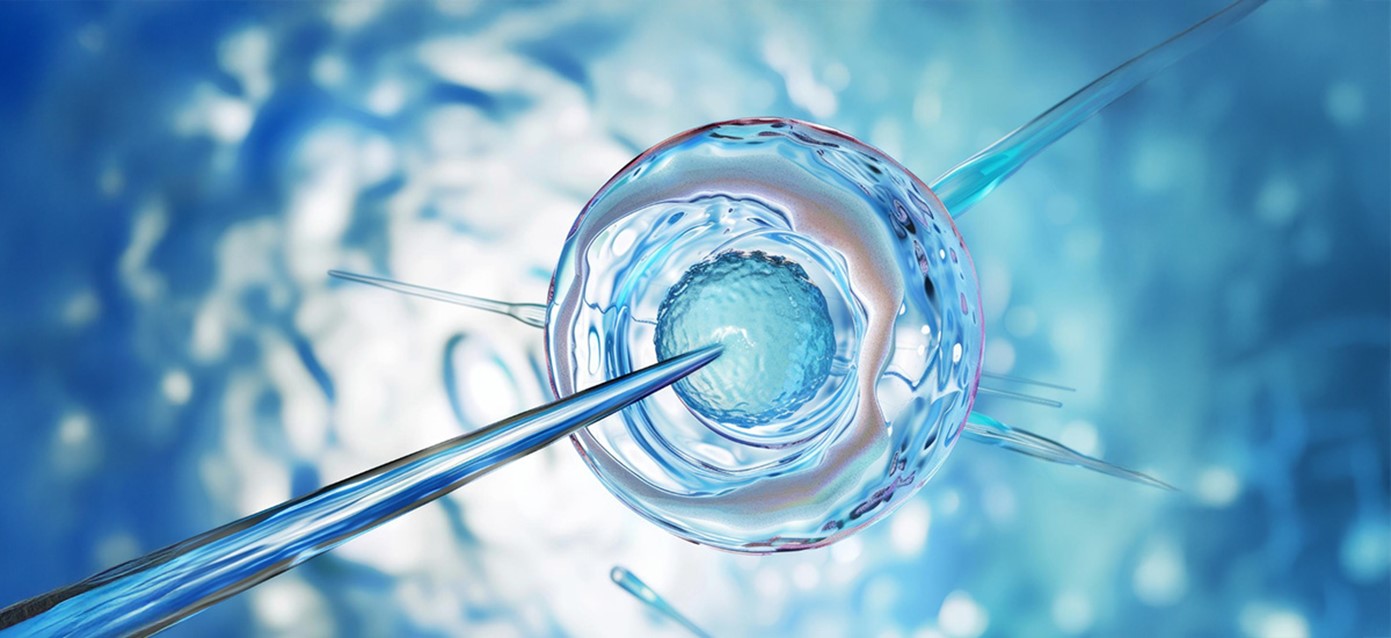 IVF vs ICSI Treatment: Expert Comparison to Help You Choose the Right Fertility Treatment