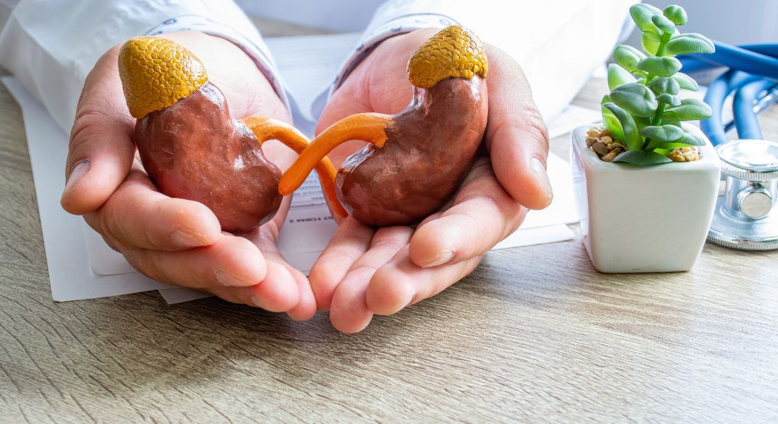 Kidney Stones in Children- Symptoms, Causes & Treatment