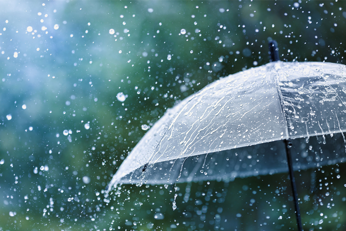 Boosting Children's Immunity: Tips for a Healthy Monsoon Season