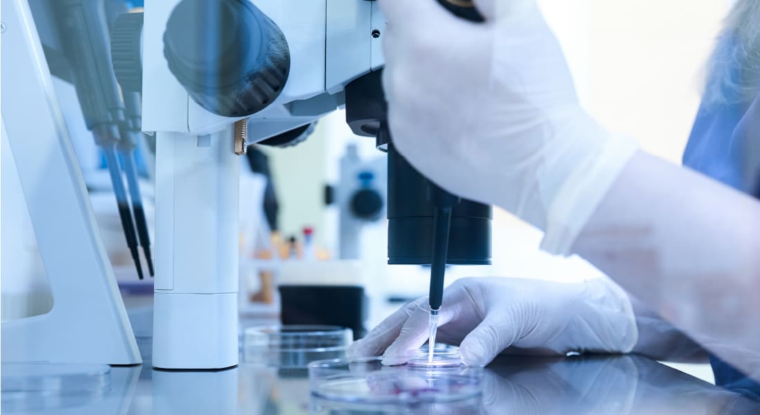 What is IMSI or Intracytoplasmic Morphologically selected Sperm Injection?