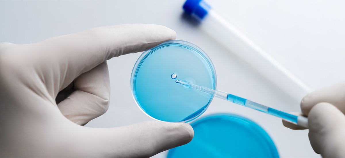 Gloved hands holding a petri dish with a pipette during oocyte freezing procedure – BirthRight by Rainbow Hospitals.
