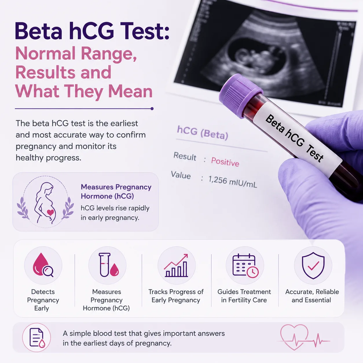 Beta hCG Test Explained: Normal Levels, Pregnancy Results and What They Mean