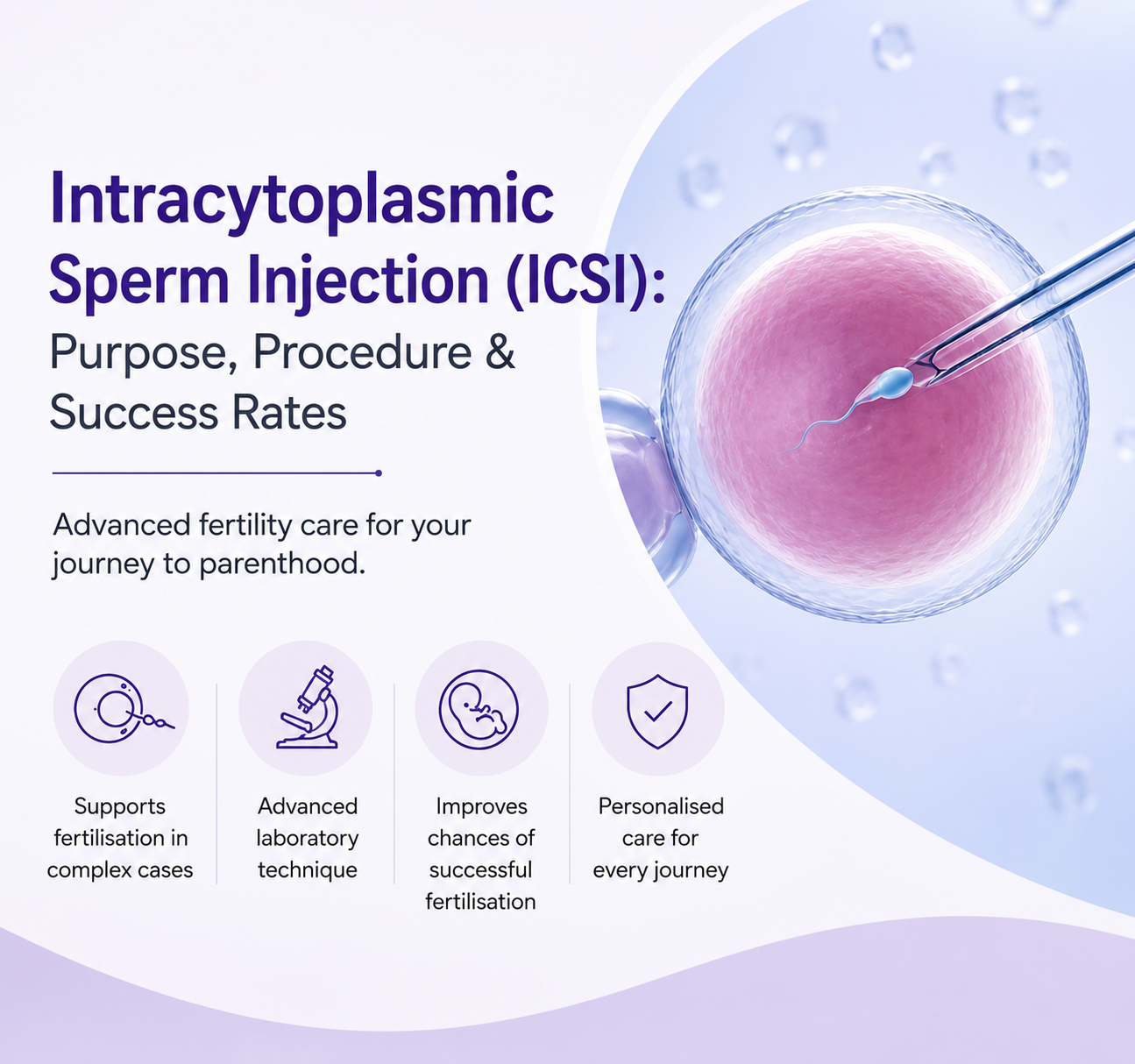 Intracytoplasmic Sperm Injection: Purpose, Procedure &amp; Success Rates