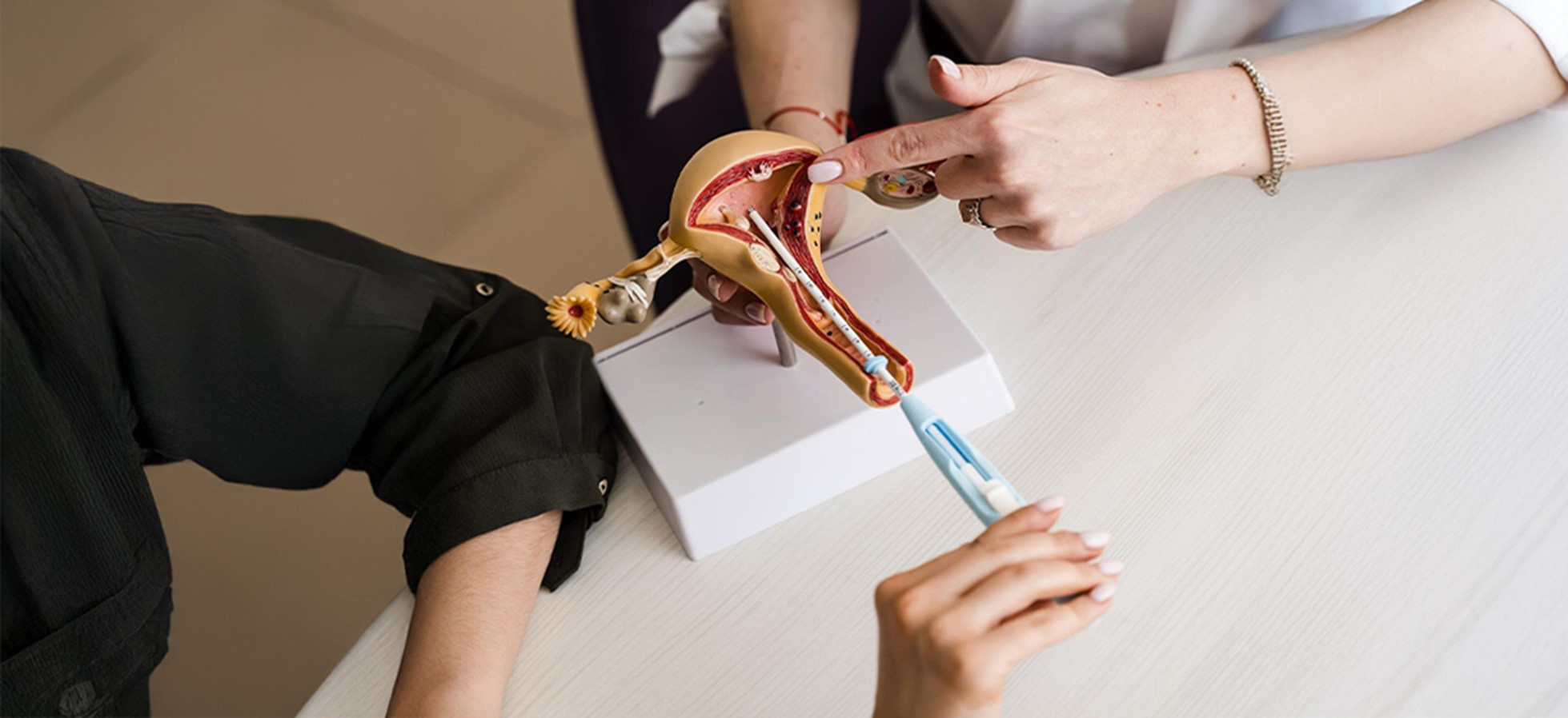 A fertility specialist at BirthRight by Rainbow Hospitals explaining the female reproductive system using a 3D anatomical model and medical instrument, during a patient consultation.