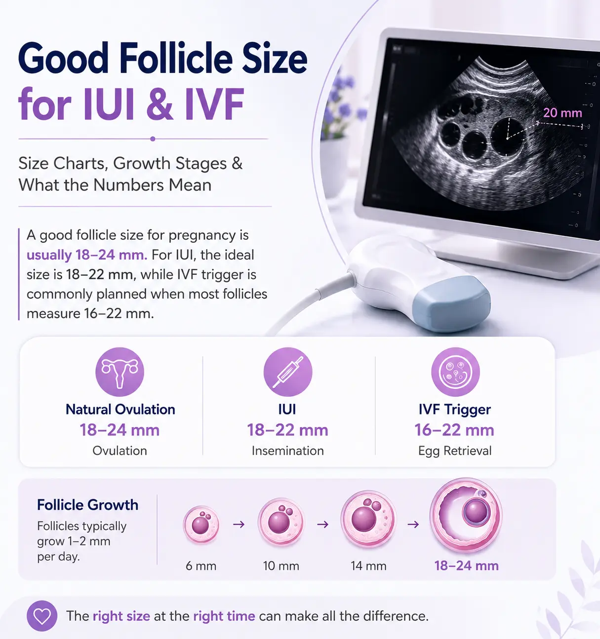 Good Follicle Size for IUI & IVF: Size Charts, Growth Stages & What the Numbers Mean
