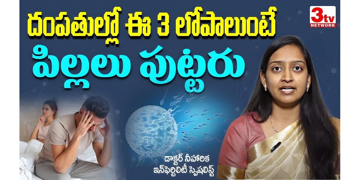 దంపతుల్లో ఈ మూడు లోపాలుంటే పిల్లలు పుట్టరు