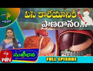 Liver Problems and Transplantation in Children