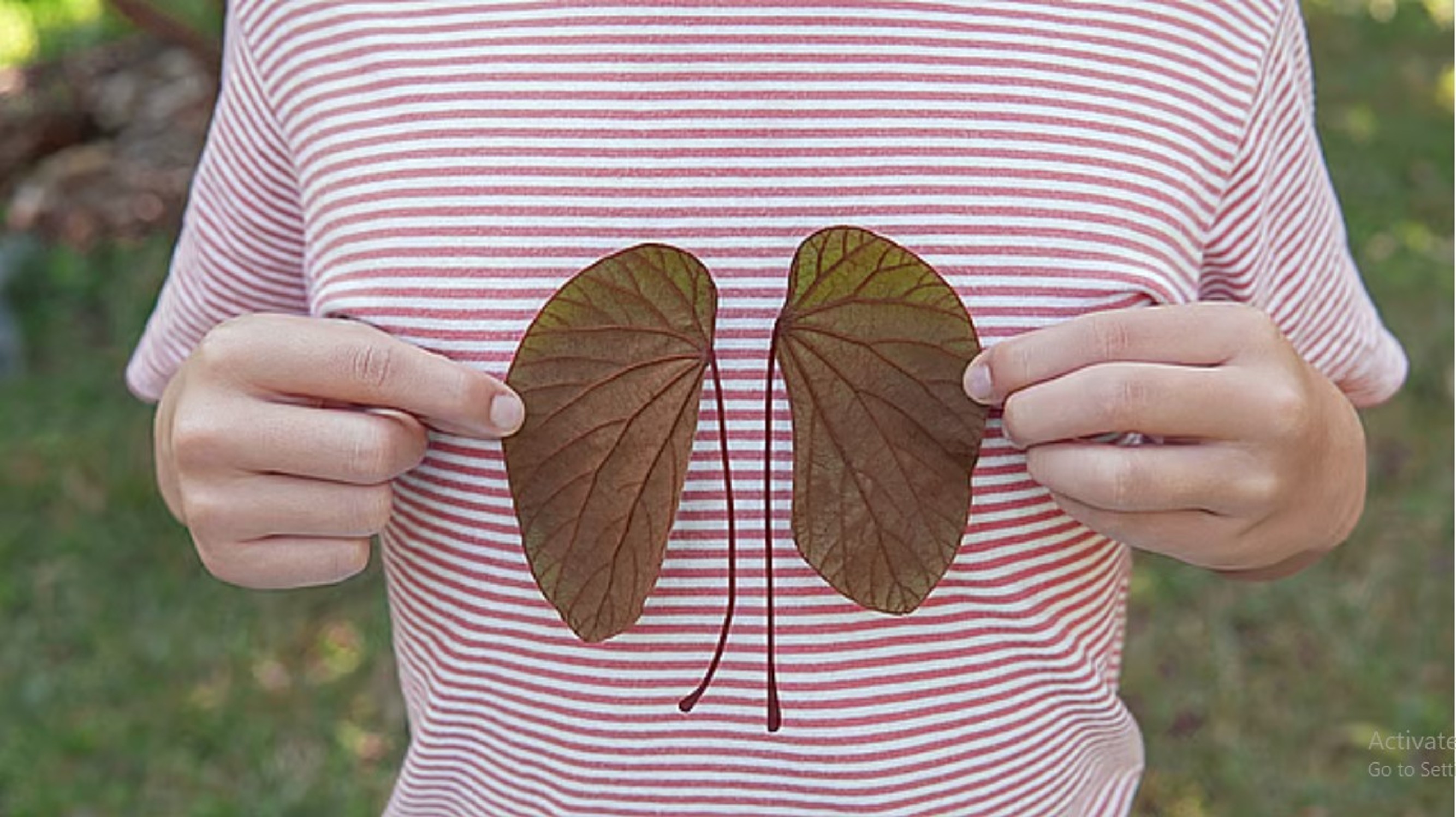 Kidney health in children: Avoid these common misconceptions