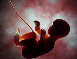 Fetal Heart Diseases