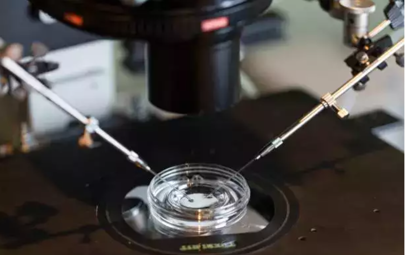 Fertility against Odds: IVF hope for women above 40 years of age