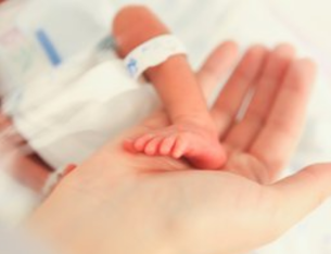 Doctor Saves twin Premature Babies