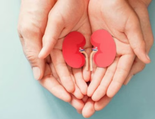 Modern Miracles and Advances in Kidney Diseases in Children