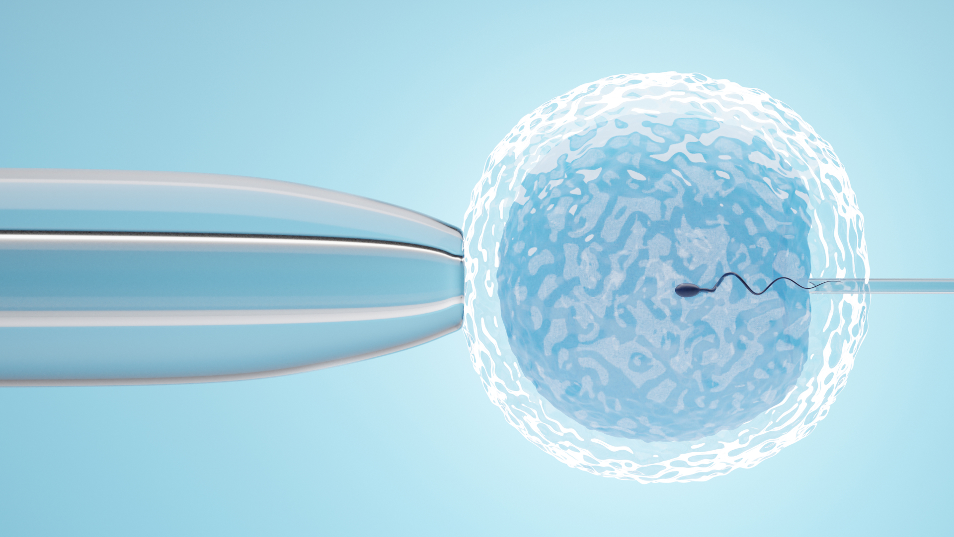 oocyte donor treatment