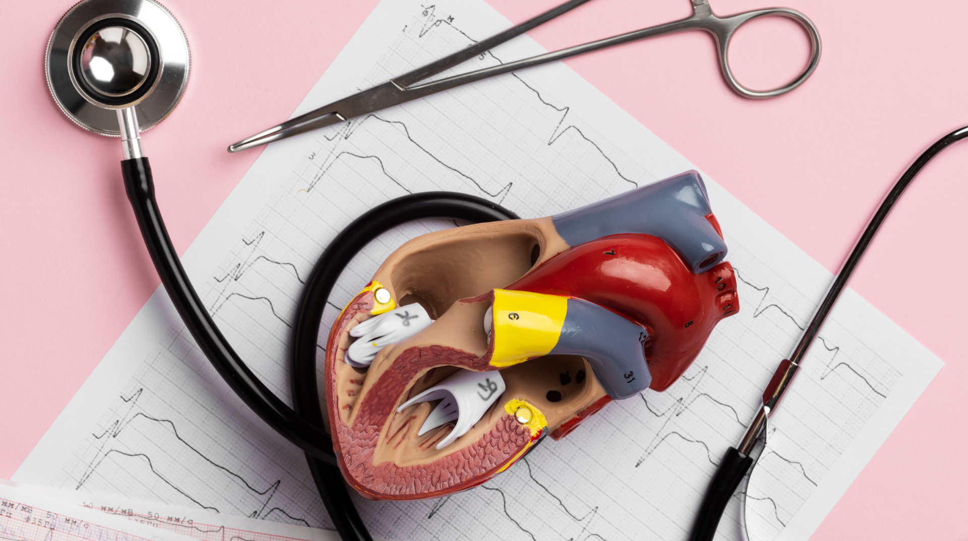 Pediatric heart surgeons