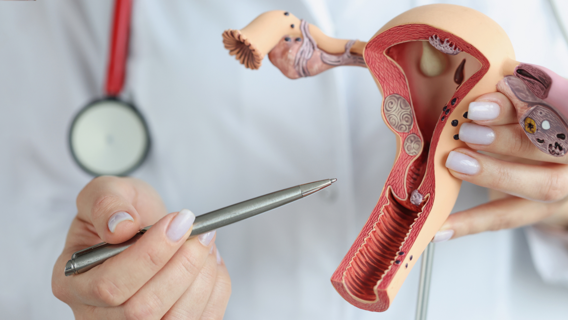 menopause treatment for women