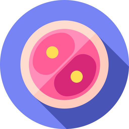 frozen embryo transfer procedure