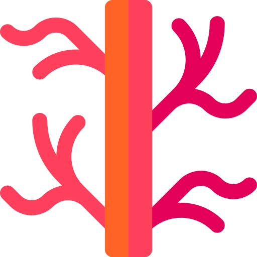 Best Vascular Surgery treatment