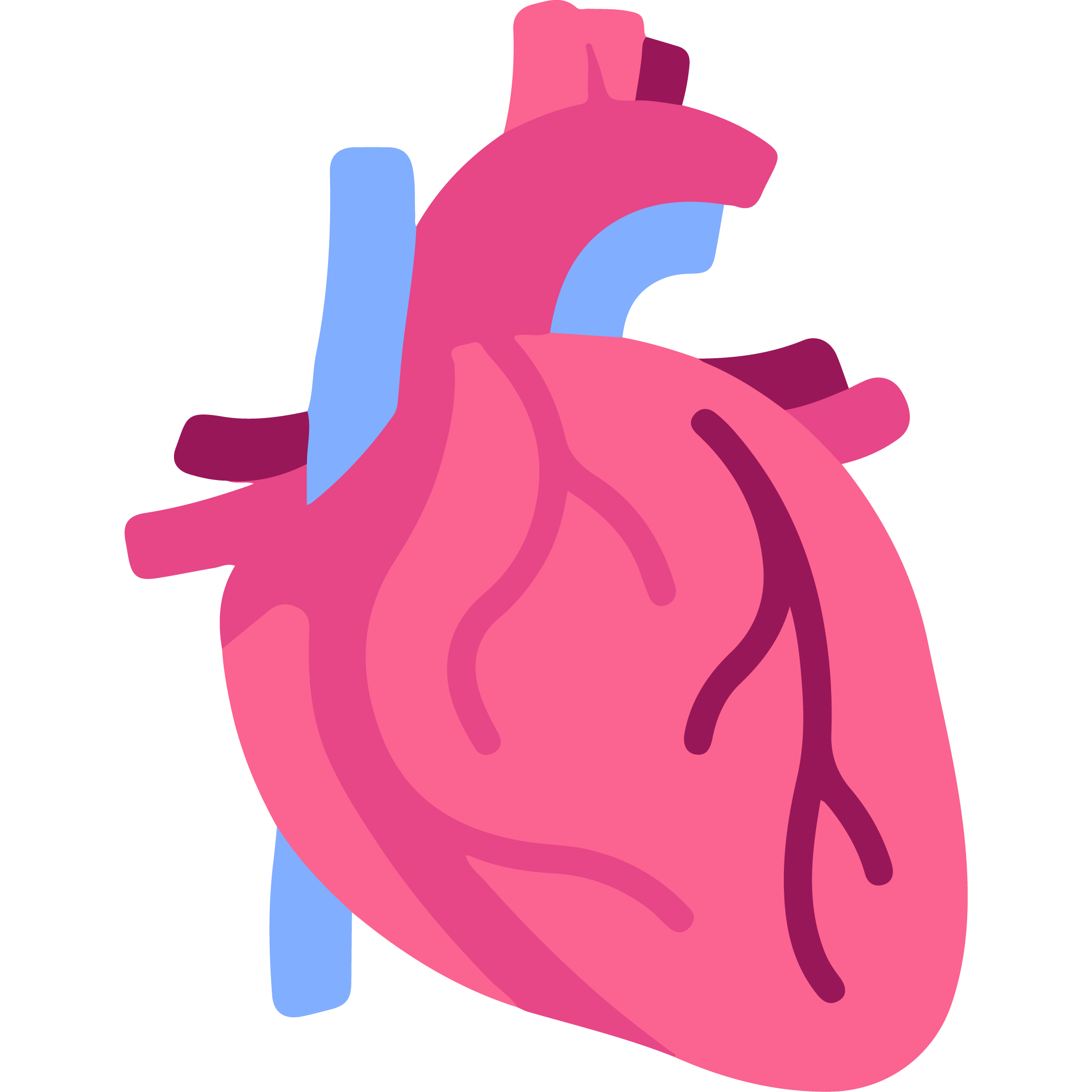 Pediatric cardiology hospitals